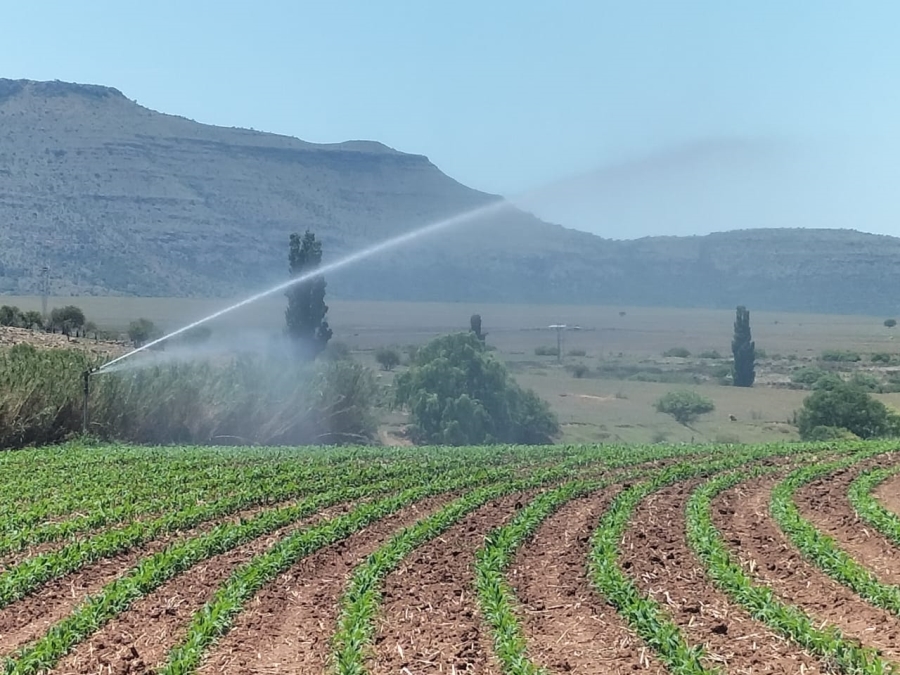 5 Bedroom Property for Sale in Queenstown Rural Eastern Cape
